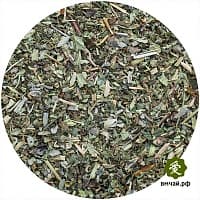 Сбор целебных трав